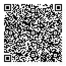 QR код "Алиса"