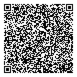 QR код "Домино"