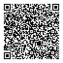 QR код "Бридж"