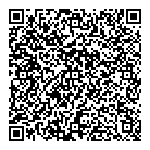 QR код "Самолет"