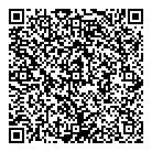 QR код "Везувий"