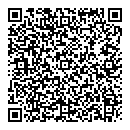 QR код "Palmetta"