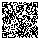 QR код "Camelot"