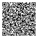 QR код "Созвездие"