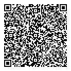 QR код "ДворСтройИнвест"