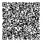 QR код "ДНС"