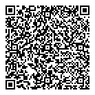 QR код "ДНС"
