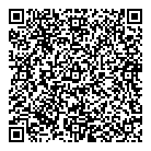 QR код "ДНС"