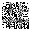 QR код "Спутник"