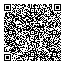 QR код "Денди"