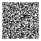 QR код "DPI"