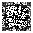 QR код "Молния"