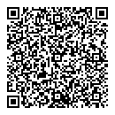 QR код "Painter"