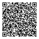 QR код "Глобус"