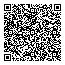 QR код "New style"