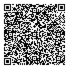 QR код "Picasso"