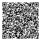 QR код "Диалазер"