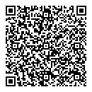 QR код "ВИП-Мастер"