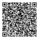 QR код "Созвездие"