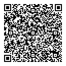 QR код "Созвездие"