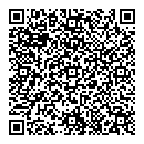 QR код "Виза"