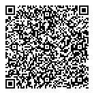 QR код "Звездный"
