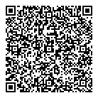 QR код "Звездный"