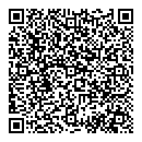 QR код "Алиса"