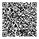 QR код "Сатурн"