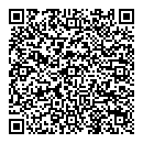 QR код "Созвездие"