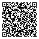 QR код "под мостом"