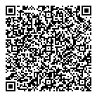 QR код "БИНТС"