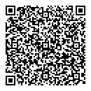 QR код "Finn Flare"