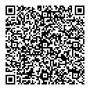 QR код "Звёздочка"