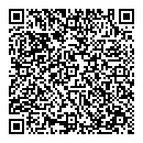 QR код "Спутник"
