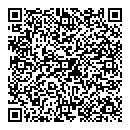 QR код "Полярный"