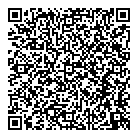 QR код "Арсенал"