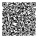 QR код "Блеск"
