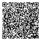 QR код "Аэлита"