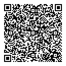 QR код "Шишка"