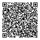 QR код "Викинг"