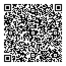 QR код "Звездный"