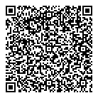 QR код "Глобус"