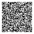 QR код "СТандарт ИНструмент"