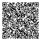QR код "Спутник"