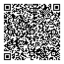 QR код "Professional"