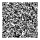 QR код "Звёздный"