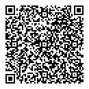 QR код "Flyer car"