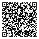 QR код "Блеск"