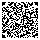 QR код "Игра света"